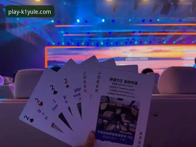 深度揭秘K1娱乐平台：安卓版官方入口的正确打开方式与避坑指南